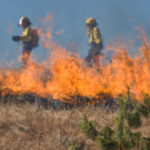 カリフォルニア山火事のイメージ