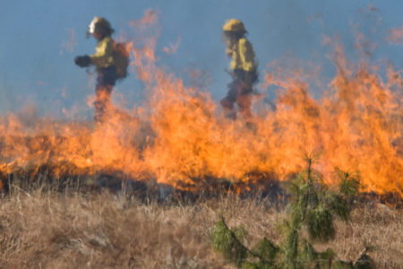 カリフォルニア山火事のイメージ