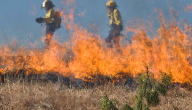 カリフォルニア山火事のイメージ