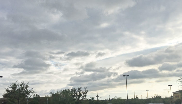 11月の天気