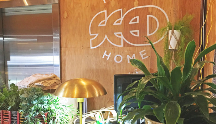 SEED PEOPLE'S MARKETイメージ