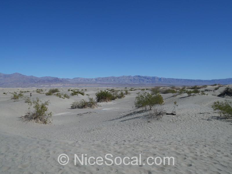 sand dunes