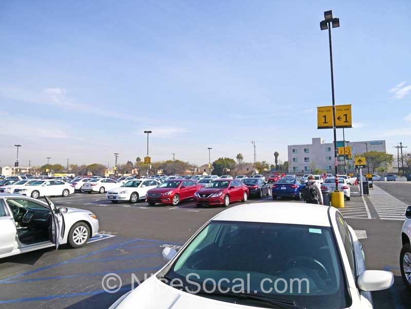 LAX HERTZ PARKING