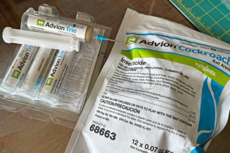 advion roach baits