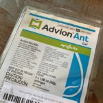 advion ant bait