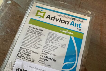 advion ant bait
