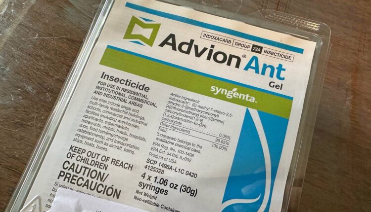 advion ant bait